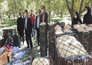 رئیس دانشکده علوم پزشکی مراغه تاکید کرد؛ کشاورزان باید توجه ویژه ای به کرونا داشته باشند