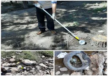 بررسی حشره شناسی پزشکی از نظر حضور پشه آئدس در شهرستان مراغه