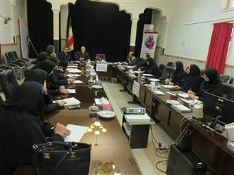 کمیته سلامت جوانان برگزار شد